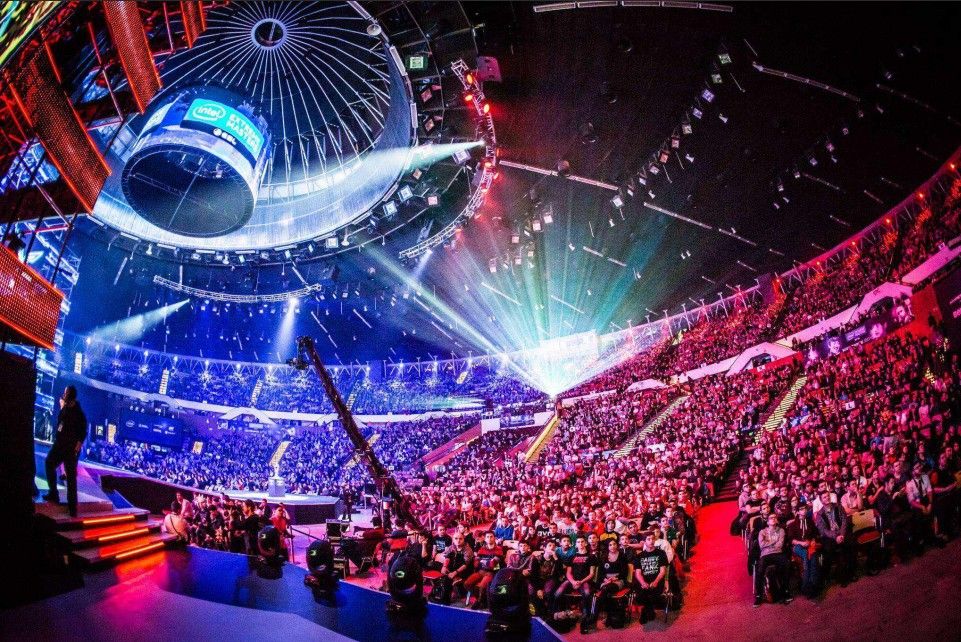 美国著名拳 美国著名拳